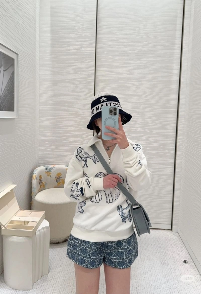 Comfortable Christian Dior Hoodies 117598