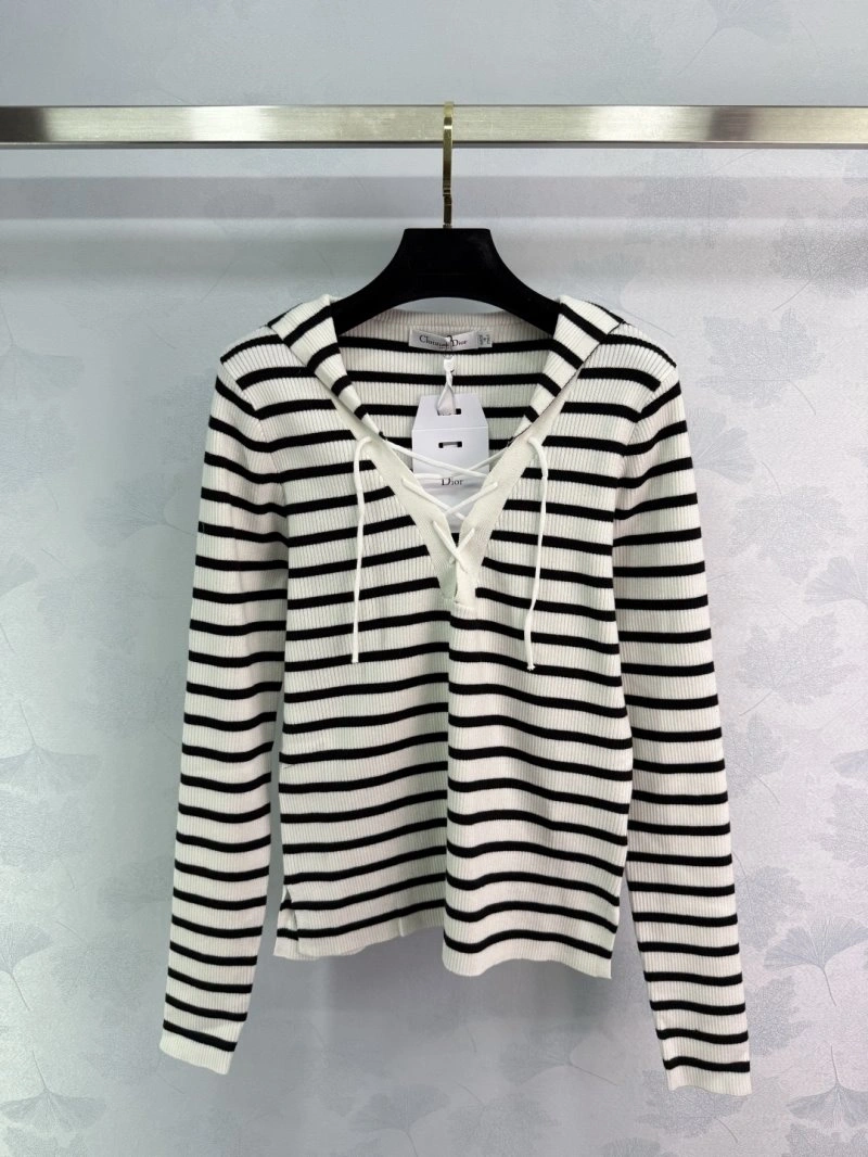 Contemporary Christian Dior Hoodies 113040