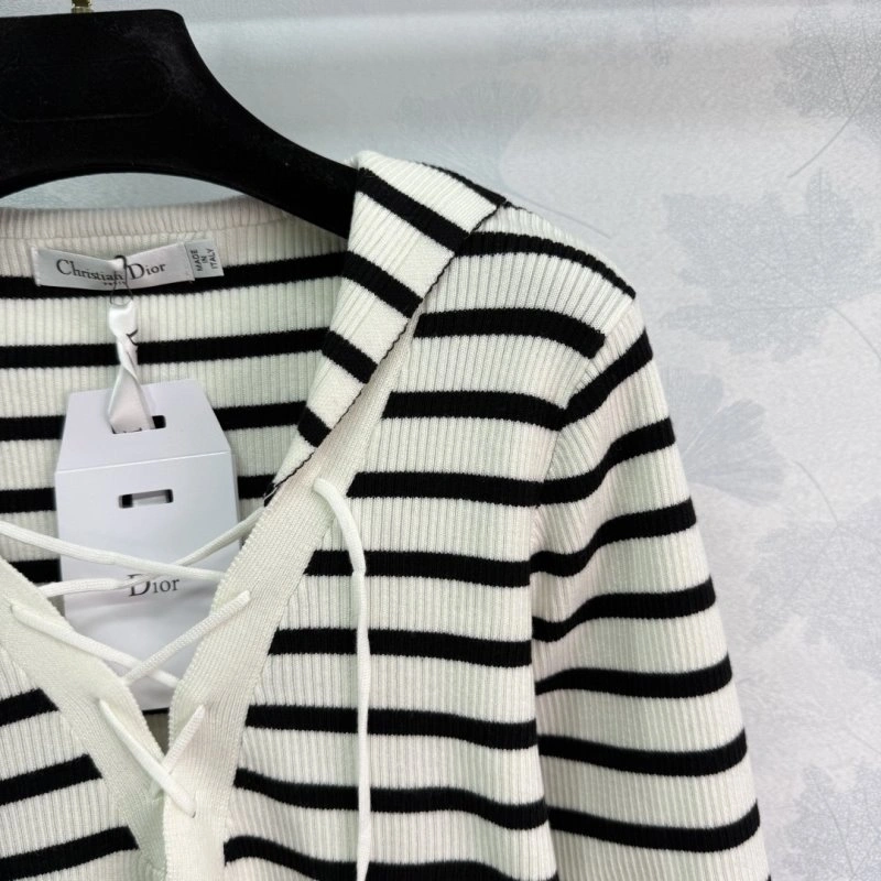 Contemporary Christian Dior Hoodies 113040