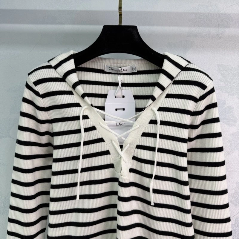 Contemporary Christian Dior Hoodies 113040