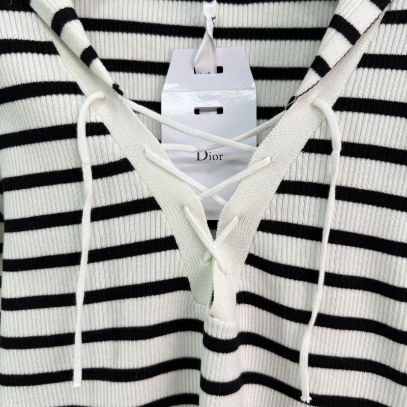 Contemporary Christian Dior Hoodies 113040