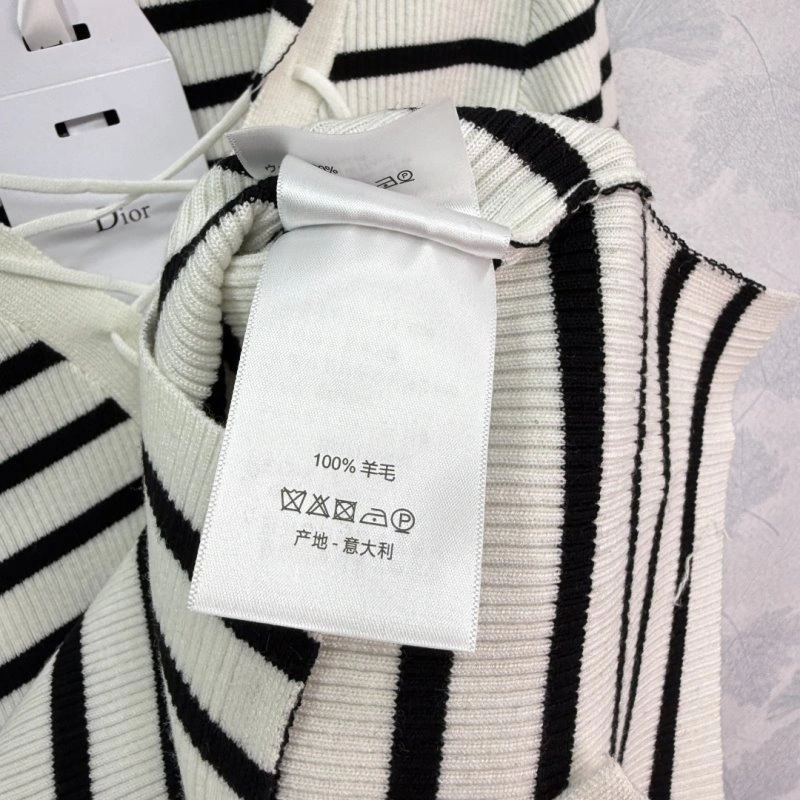 Contemporary Christian Dior Hoodies 113040