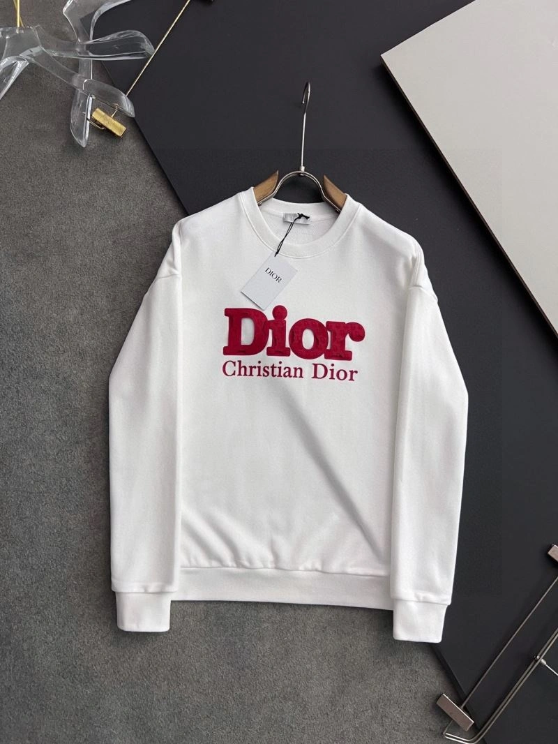 Christian Dior Hoodies GoAnywhere 116306