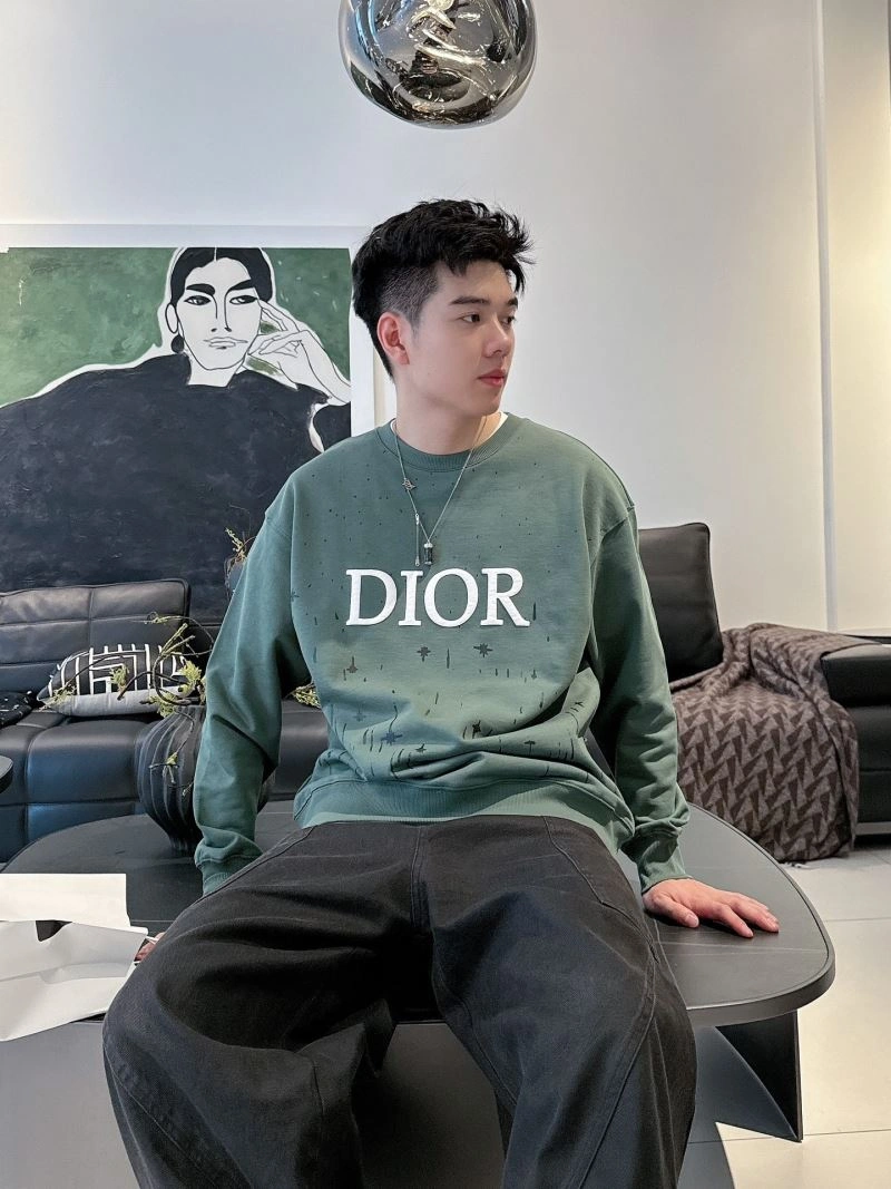 Christian Dior Hoodies Effortless 115902