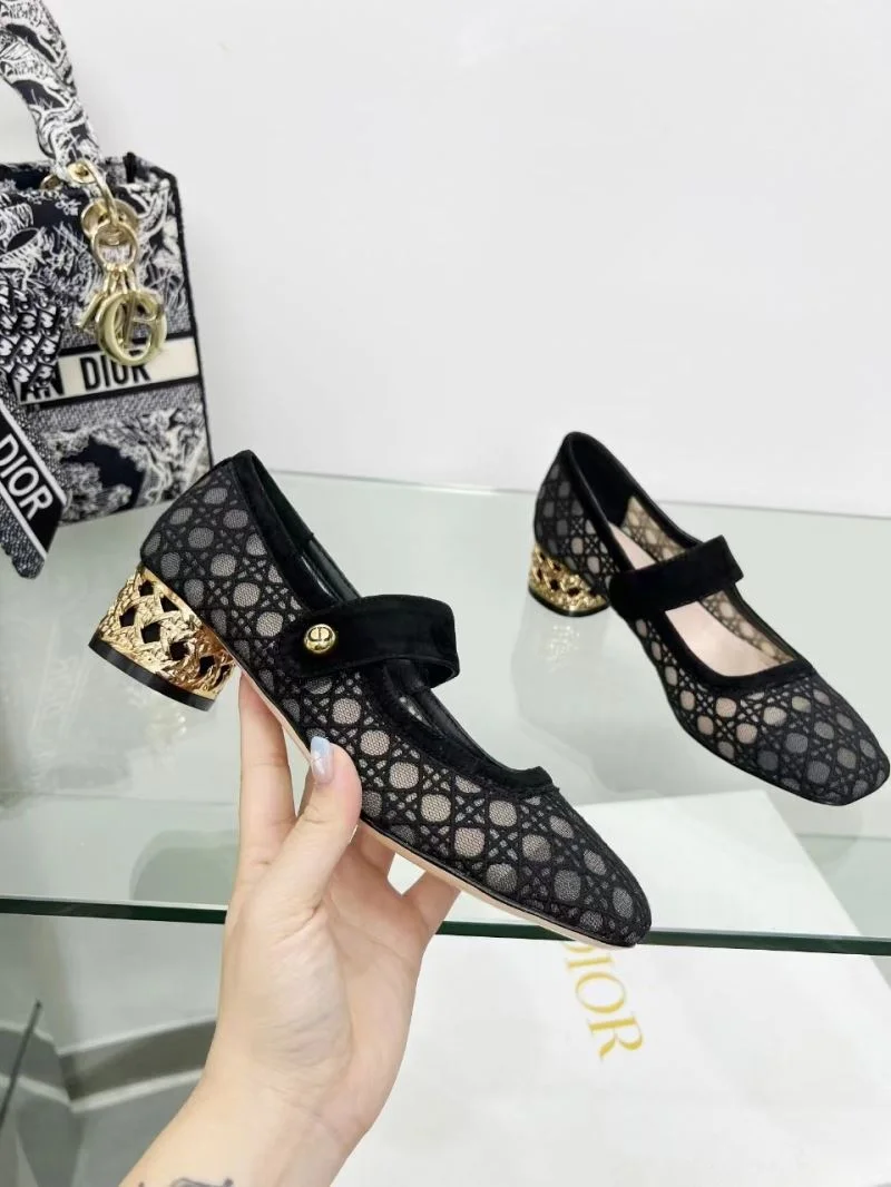 EyeCatching Christian Dior Low Shoes 22123