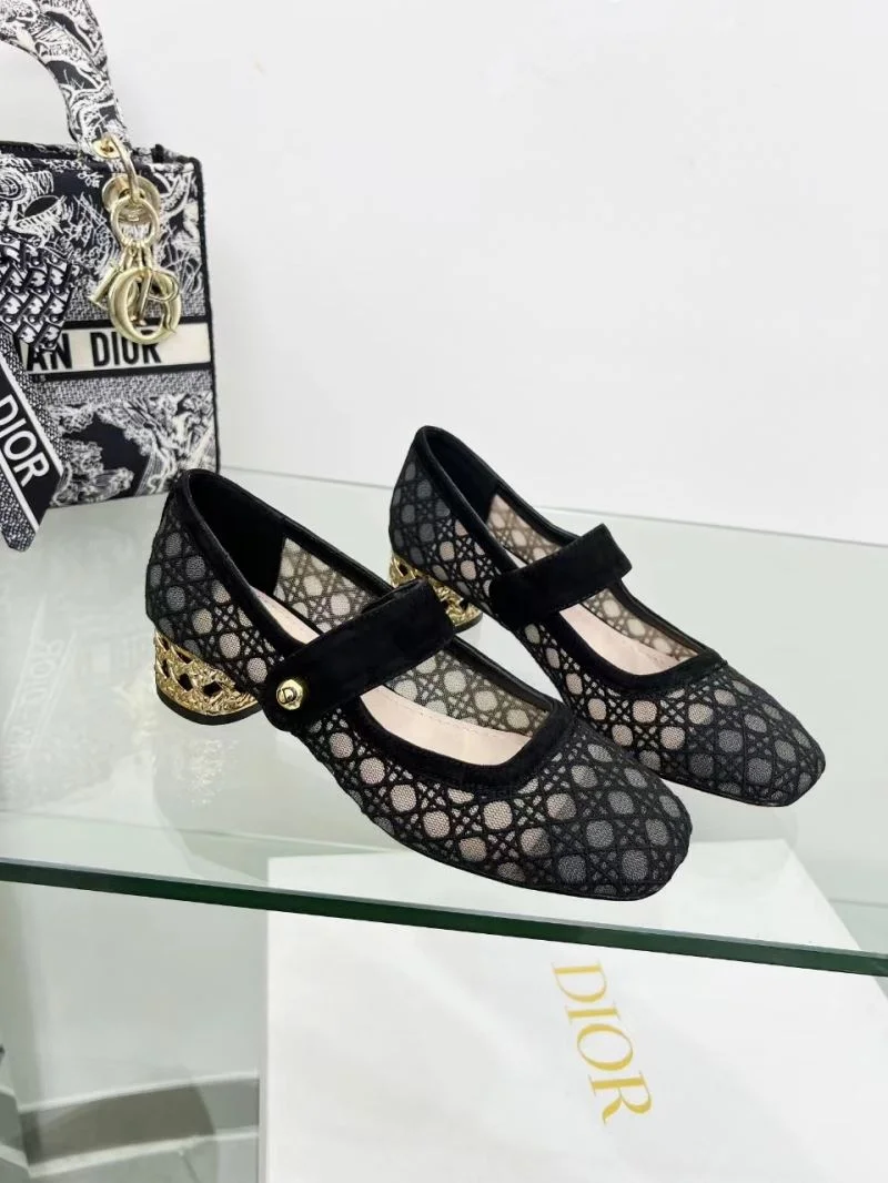 EyeCatching Christian Dior Low Shoes 22123