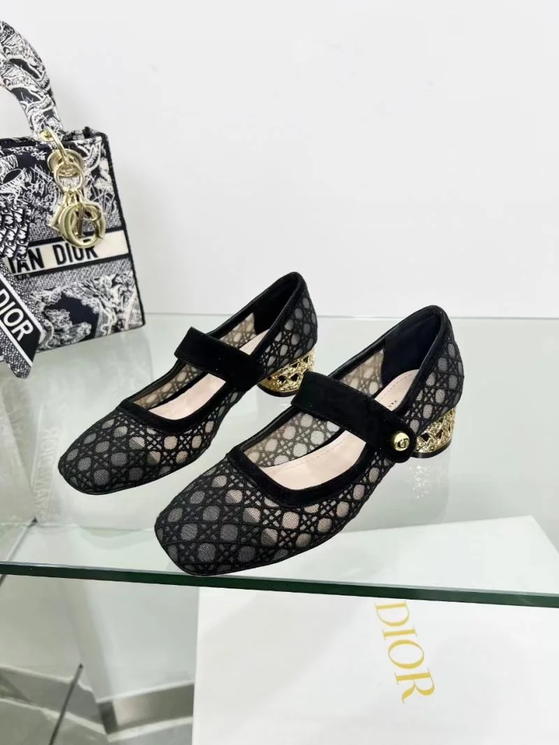 EyeCatching Christian Dior Low Shoes 22123