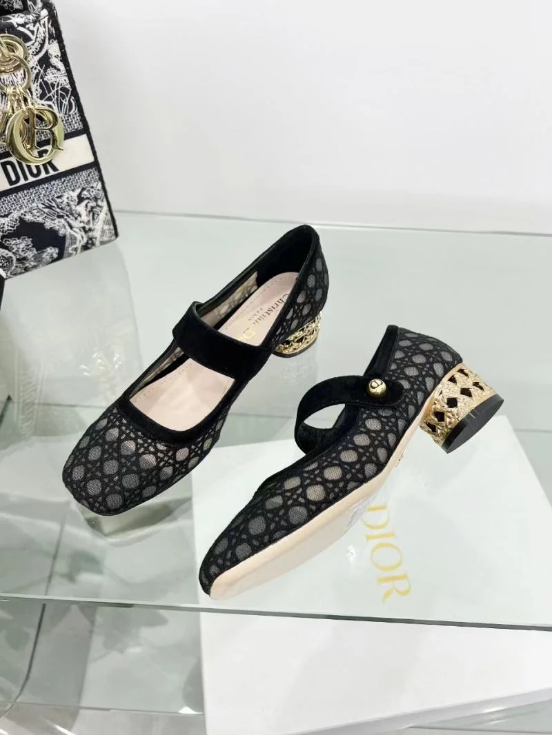 EyeCatching Christian Dior Low Shoes 22123