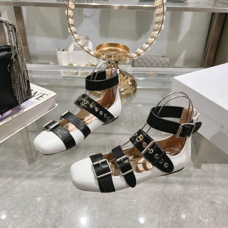 Colorful Christian Dior Low Shoes 22040