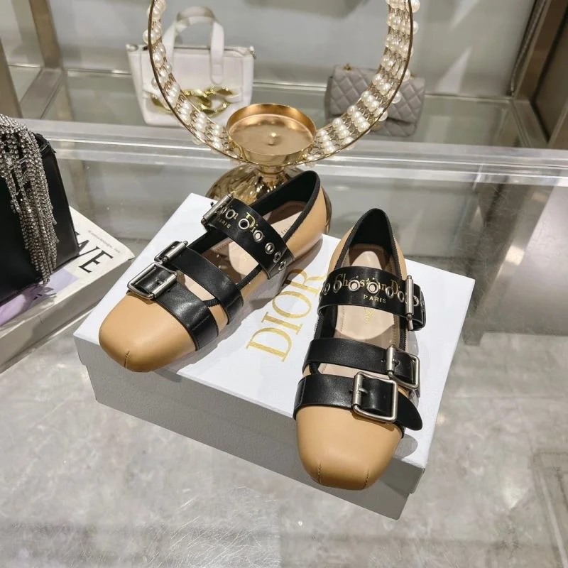 TopPick Christian Dior Low Shoes 22046