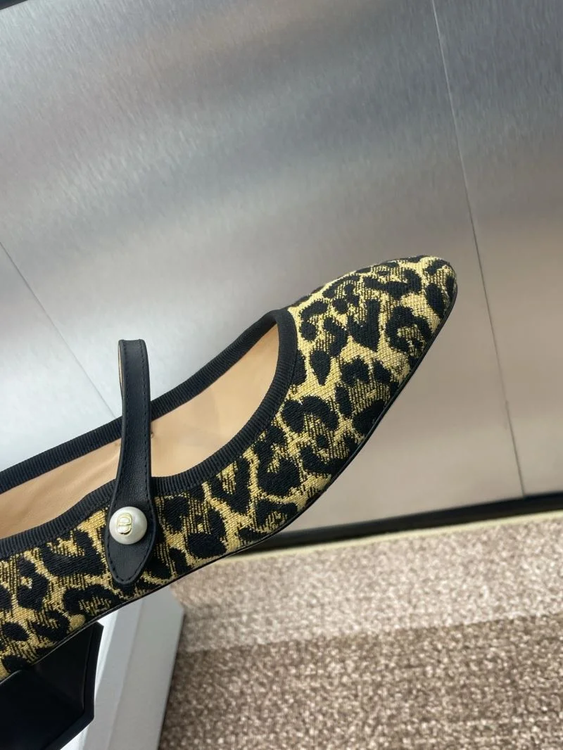Resilient Christian Dior Low Shoes 22036