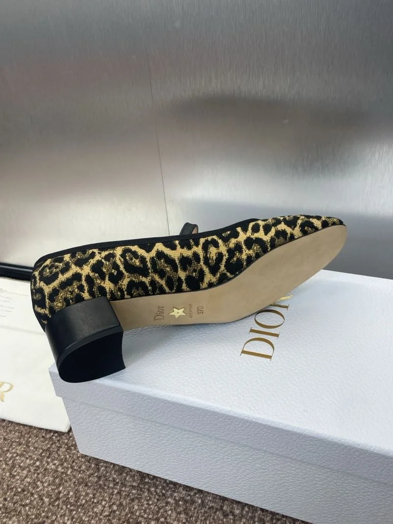 Resilient Christian Dior Low Shoes 22036
