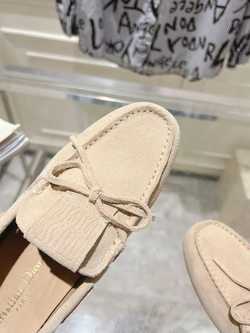 Versatile Christian Dior Low Shoes 22034