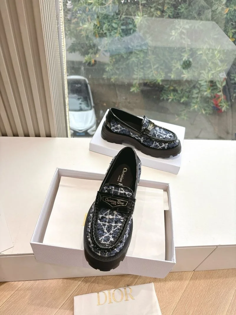 SoftTouch Christian Dior Low Shoes 21558