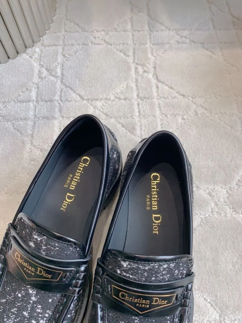 Packable Christian Dior Low Shoes 21553