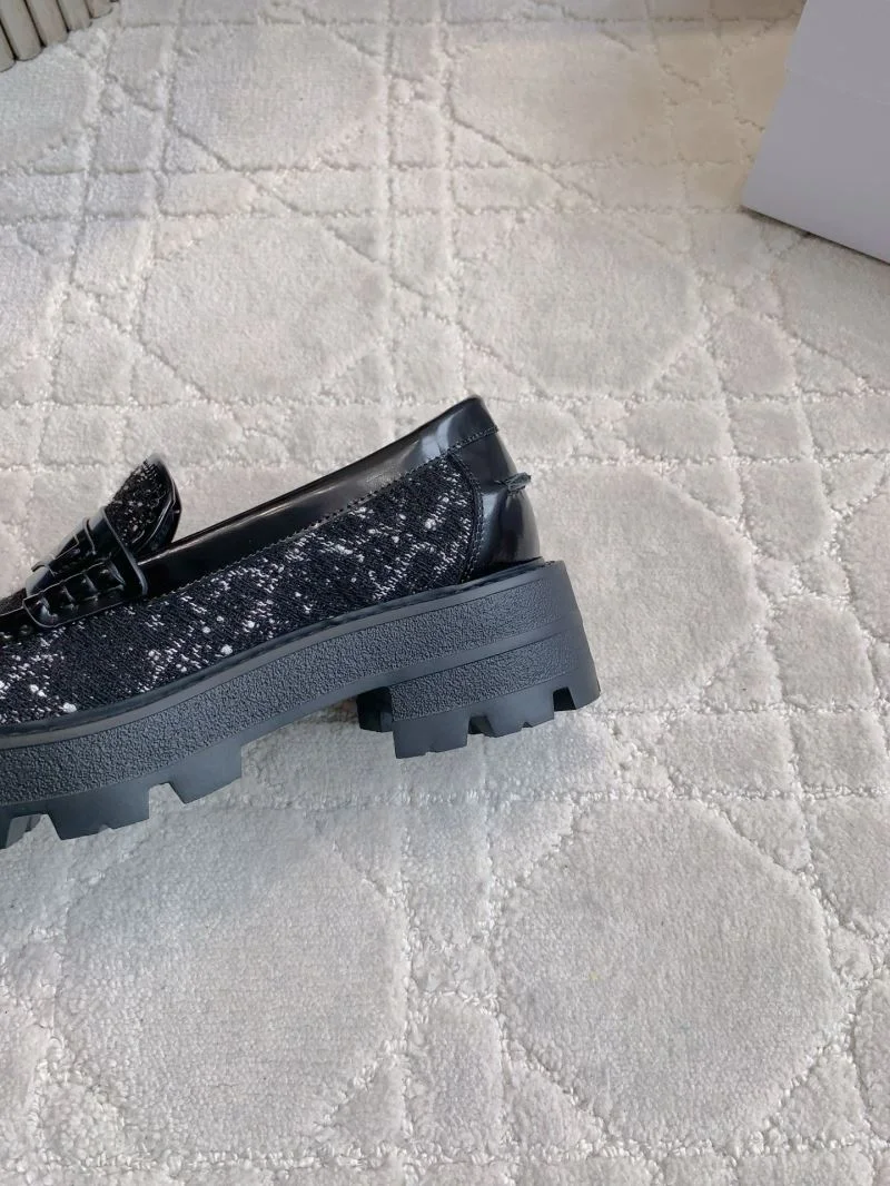 Packable Christian Dior Low Shoes 21553