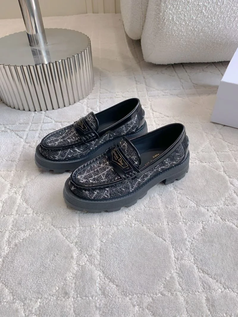 Bold Christian Dior Low Shoes 21556