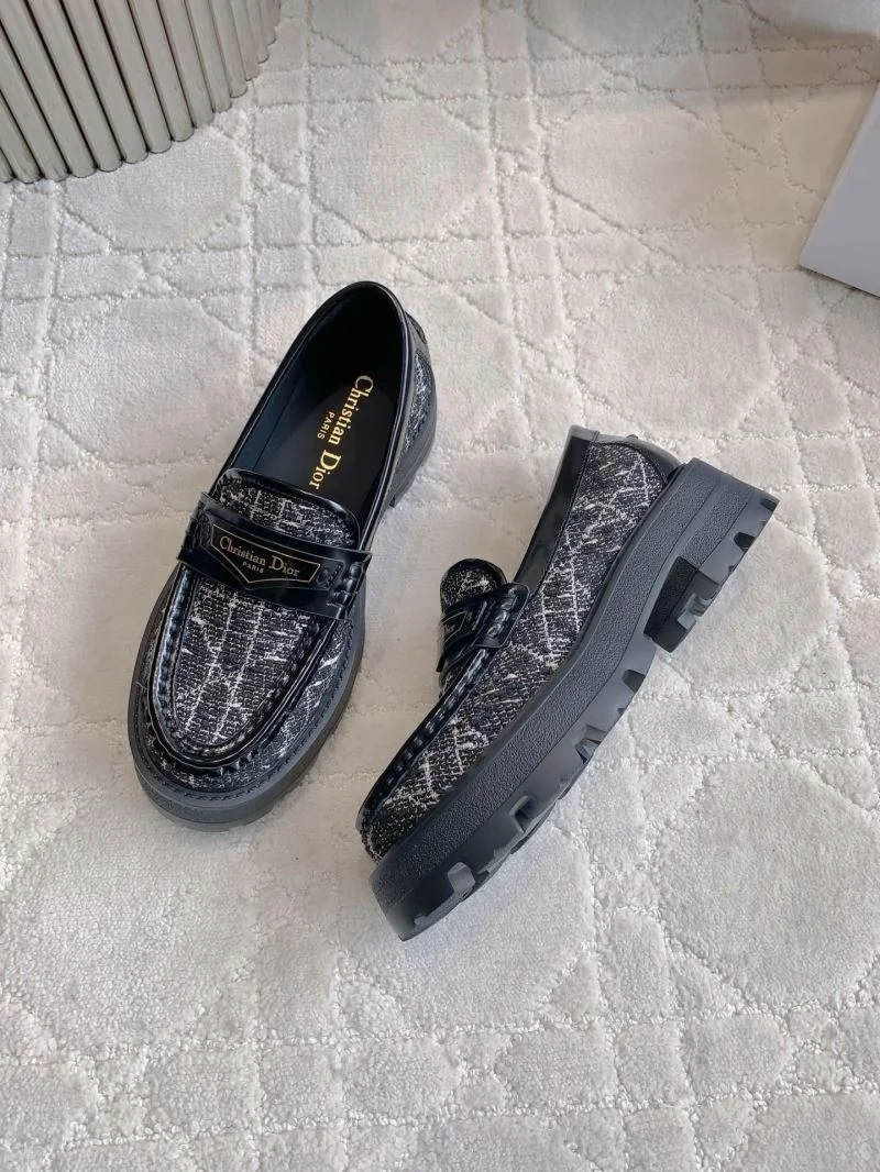 Bold Christian Dior Low Shoes 21556