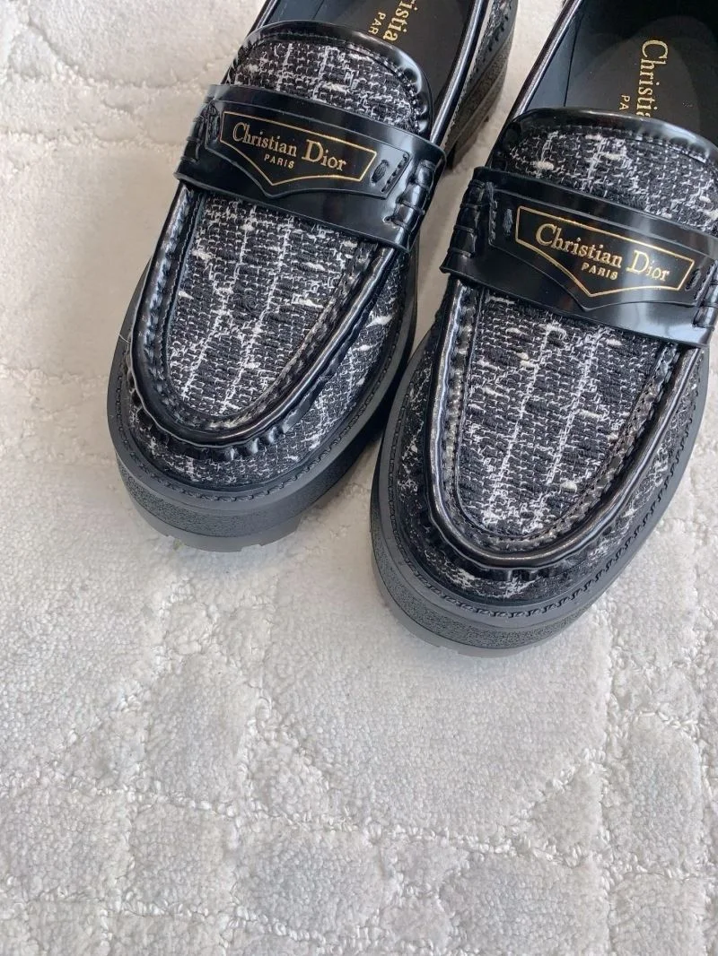 Bold Christian Dior Low Shoes 21556
