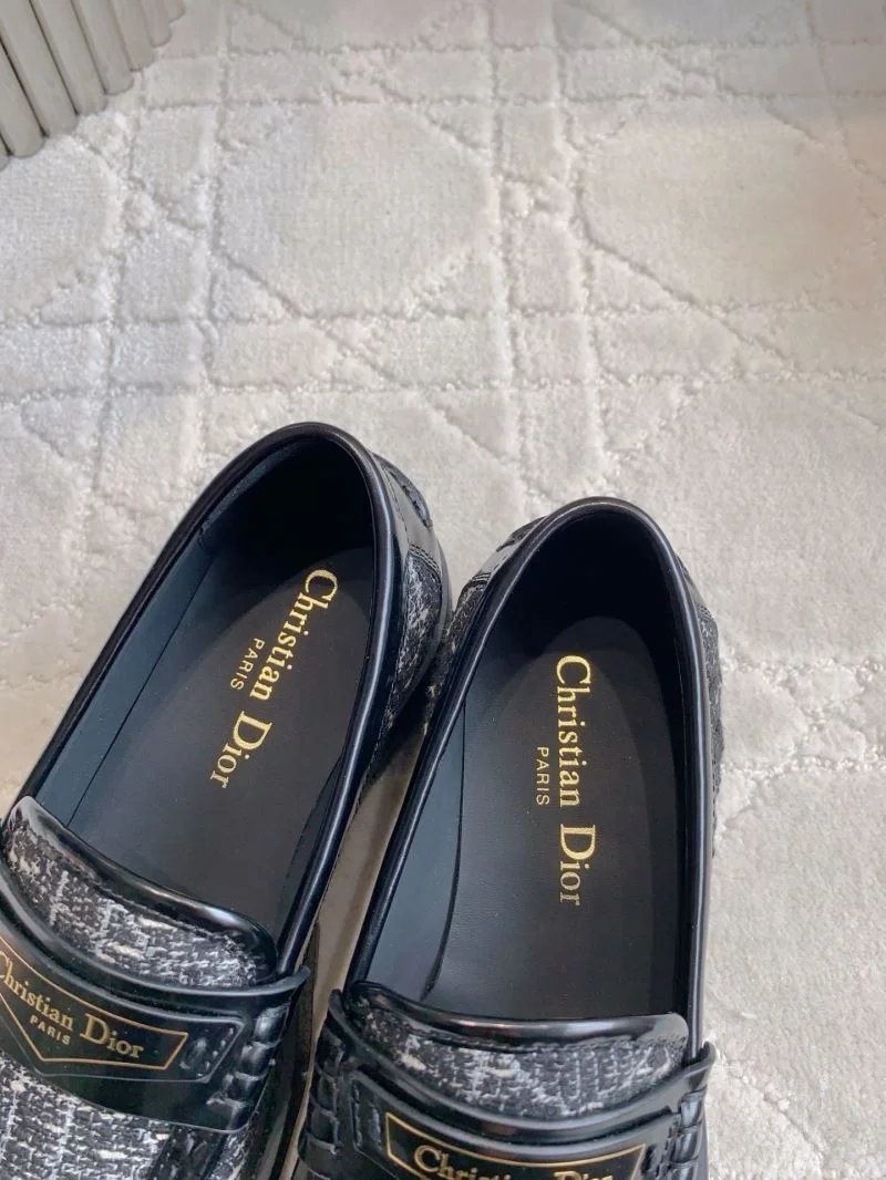 Bold Christian Dior Low Shoes 21556