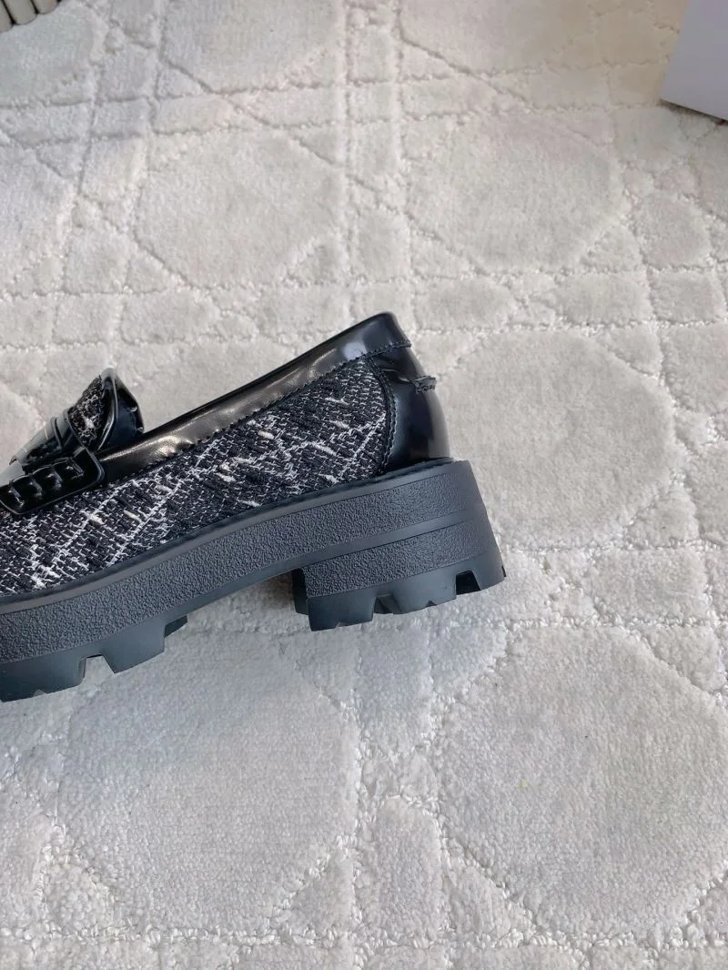 Bold Christian Dior Low Shoes 21556