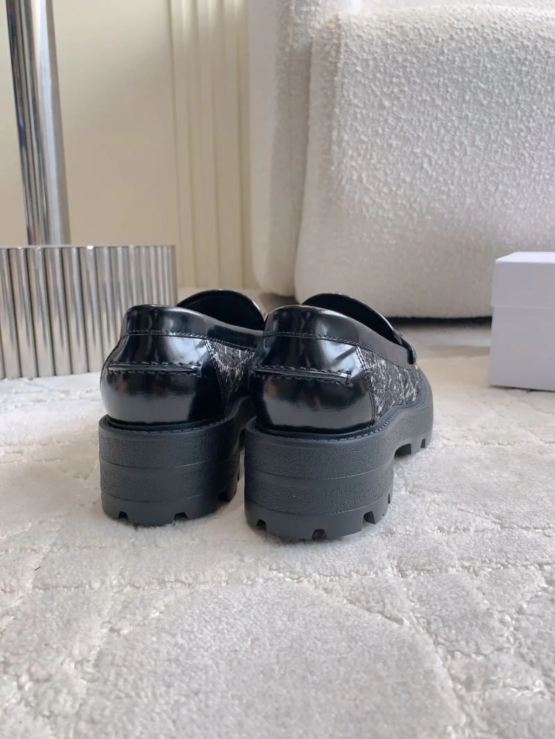 Bold Christian Dior Low Shoes 21556