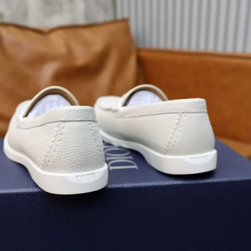ZeroBulk Christian Dior Low Shoes 22320