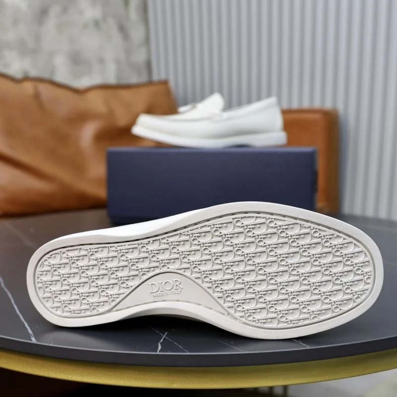 ZeroBulk Christian Dior Low Shoes 22320