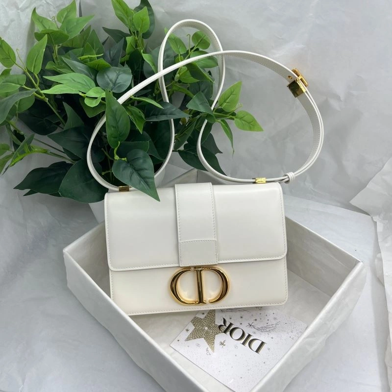 Christian Dior Montaigne Bags StreetReady 76562