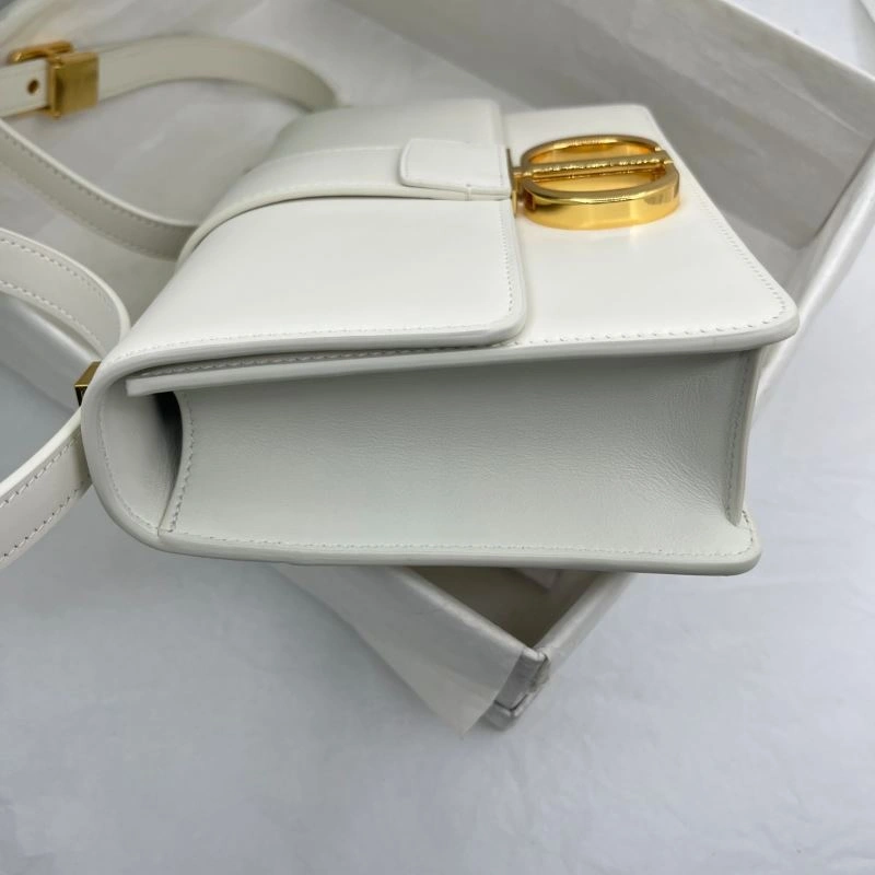 Christian Dior Montaigne Bags StreetReady 76562