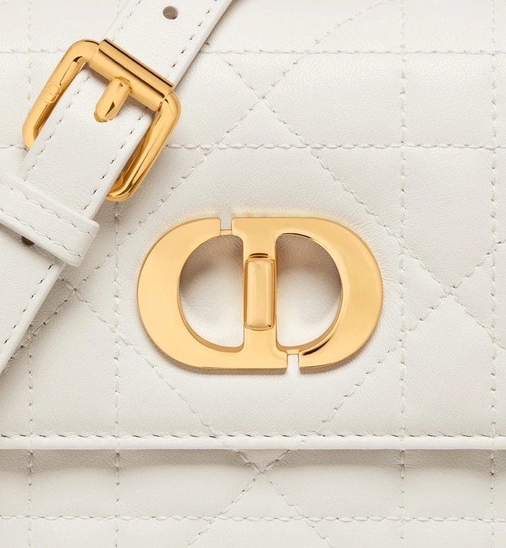 Christian Dior Montaigne Bags TechFriendly 76118