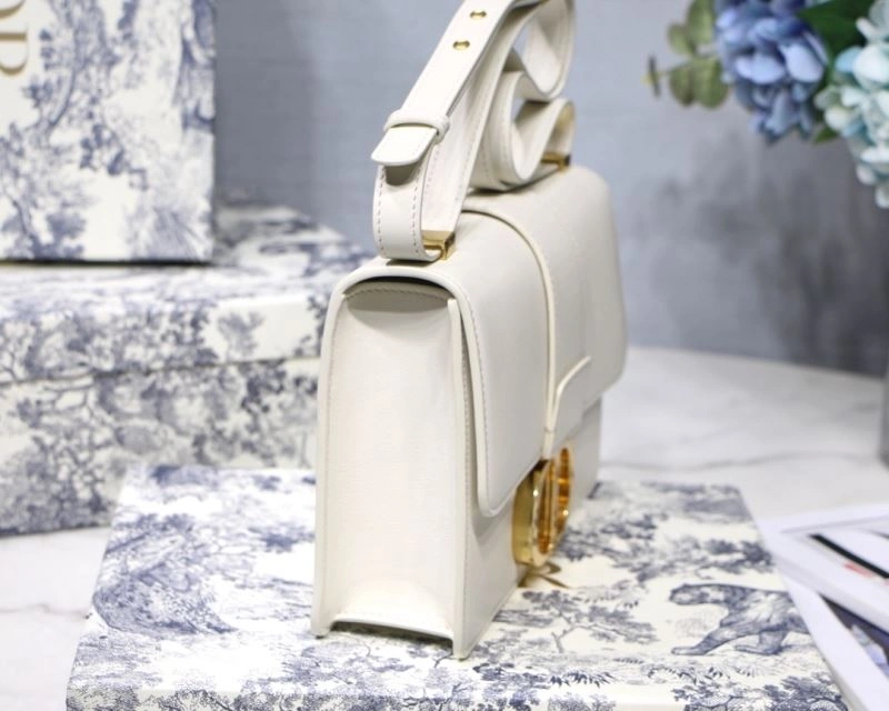 Resilient Christian Dior Montaigne Bags 71139