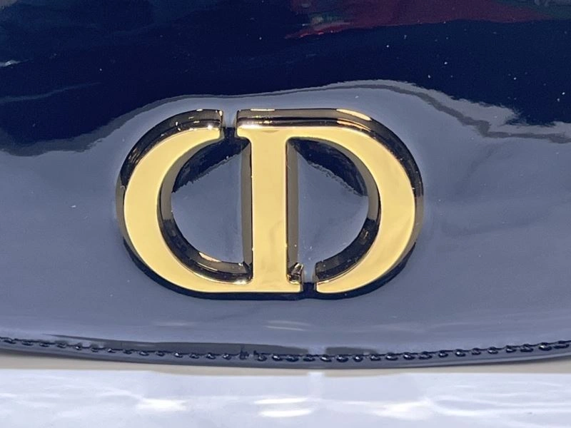 Christian Dior Montaigne Bags Resilient 66854