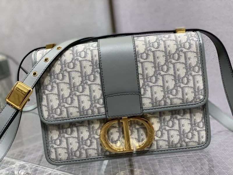 WrinkleFree Christian Dior Montaigne Bags 47554