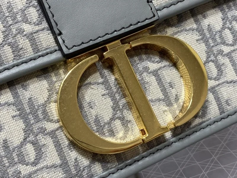 WrinkleFree Christian Dior Montaigne Bags 47554