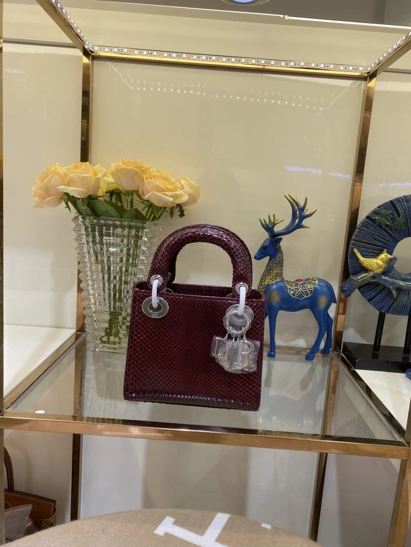 WrinkleFree Christian Dior My Lady Bags 76493