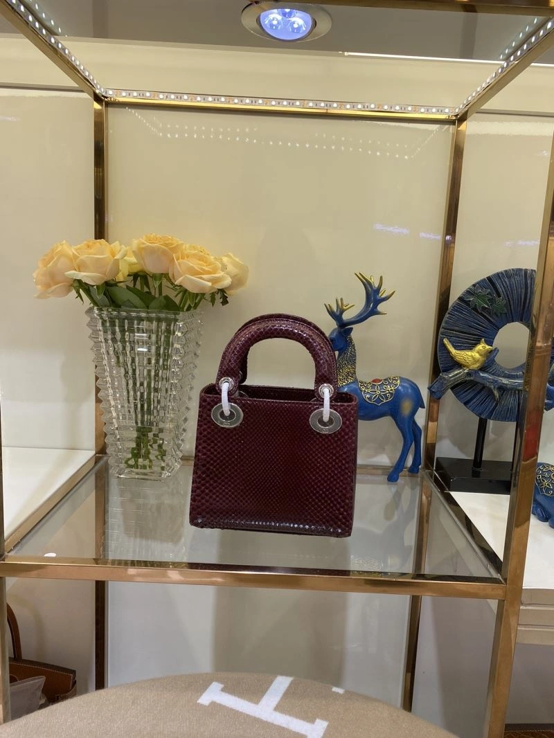 WrinkleFree Christian Dior My Lady Bags 76493