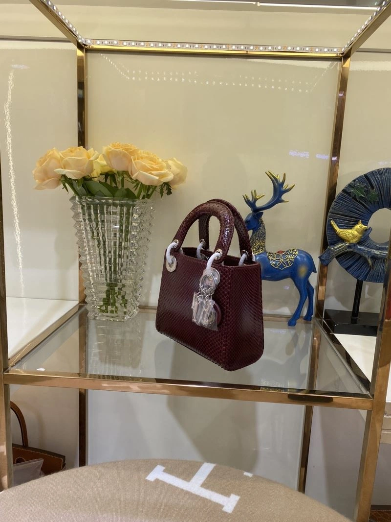 WrinkleFree Christian Dior My Lady Bags 76493