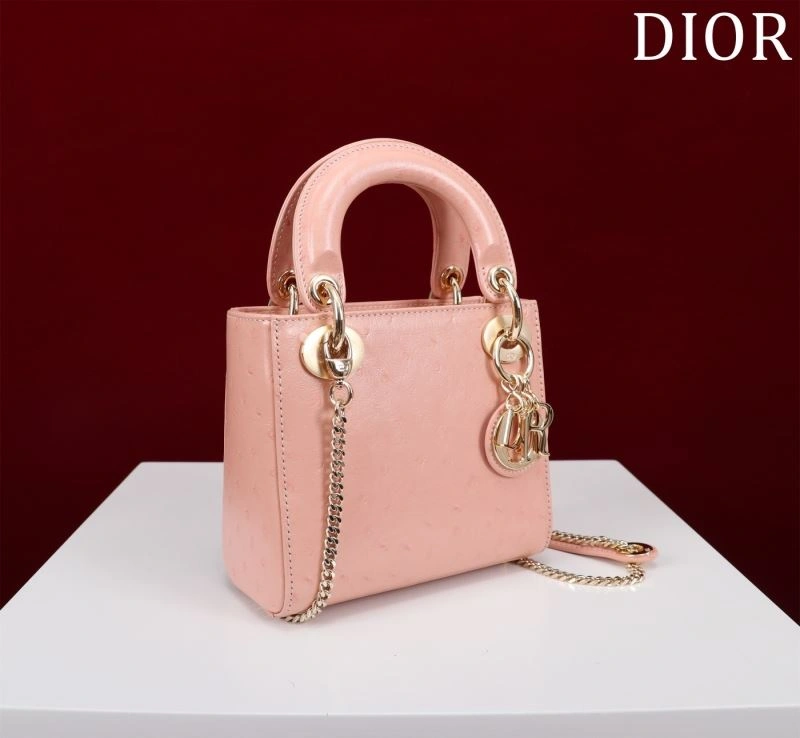 WrinkleFree Christian Dior My Lady Bags 76439