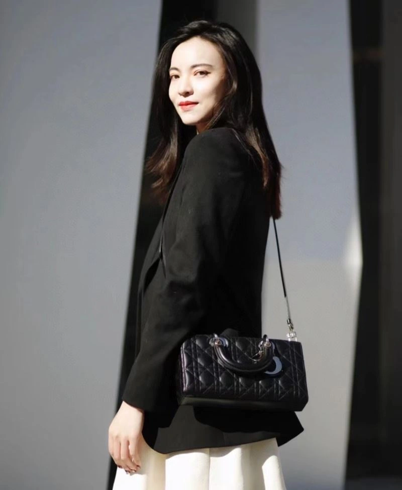 Christian Dior My Lady Bags Refined 76431