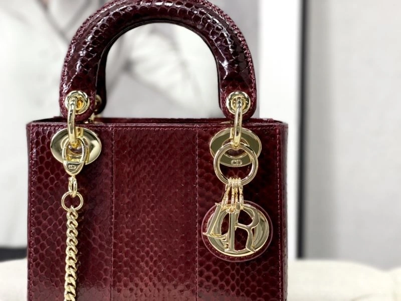 Christian Dior My Lady Bags TechFriendly 76383