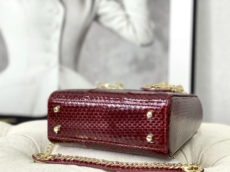 Christian Dior My Lady Bags TechFriendly 76383