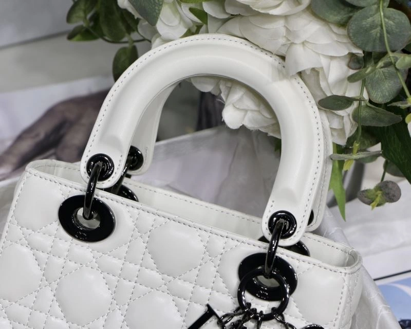 Christian Dior My Lady Bags TravelReady 76360