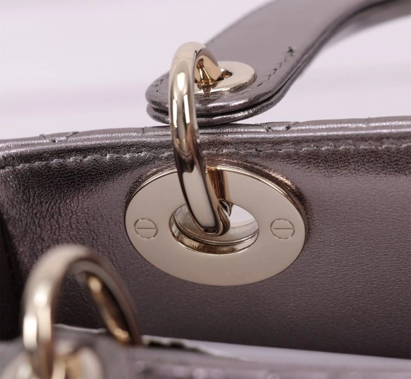 Resilient Christian Dior My Lady Bags 75939