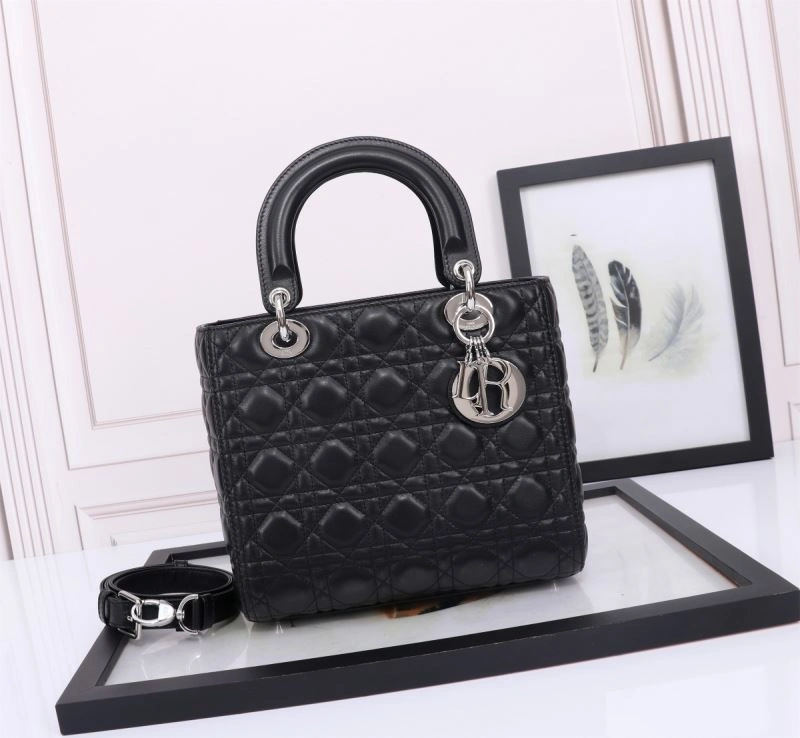 WrinkleFree Christian Dior My Lady Bags 75934