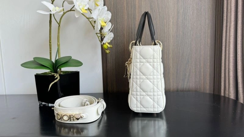 Christian Dior My Lady Bags StreetReady 63895