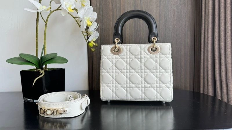 Christian Dior My Lady Bags StreetReady 63895