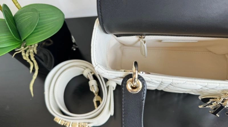 Christian Dior My Lady Bags StreetReady 63895