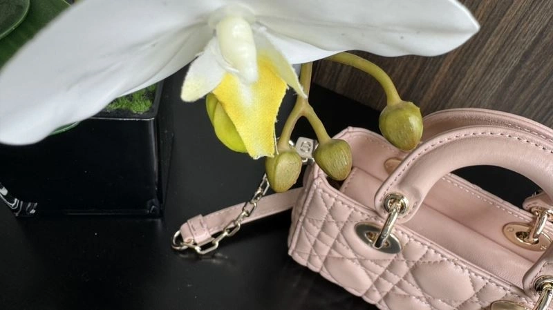 Christian Dior My Lady Bags Trendy 70903