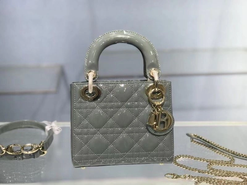 Resilient Christian Dior My Lady Bags 70863